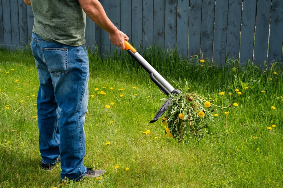 Weed control worker