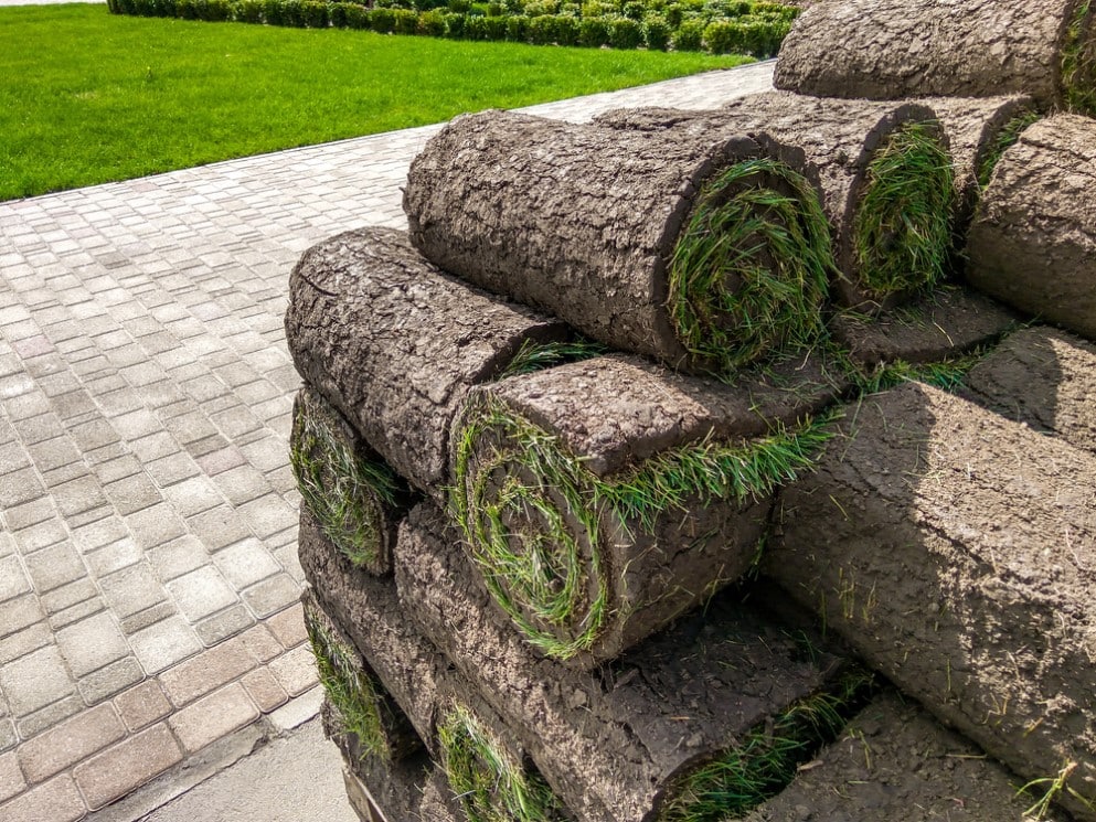 Sod rolls ready to be installed